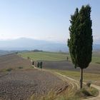 Terrapille bei Pienza