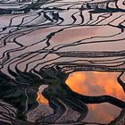 Terrarced Fields at Sunset