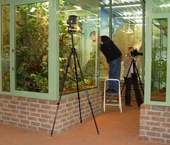 Terrarien im Terrazoo Rheinberg