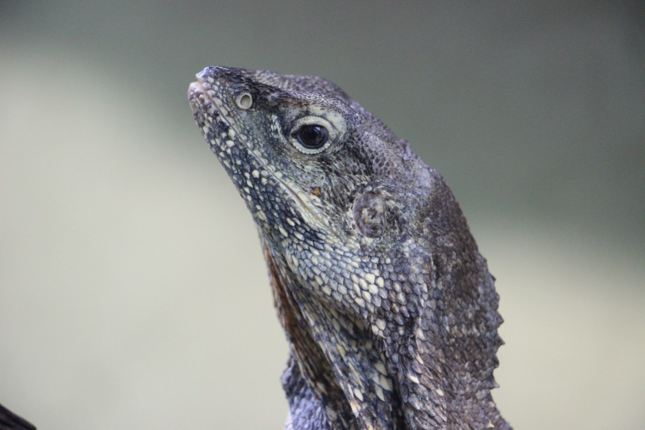 Terrarium im Leipziger zoo