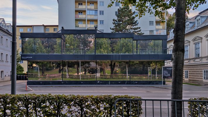 Terrarium mit Bewusstseinsstörung