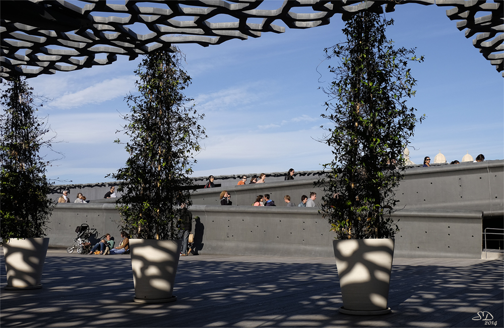 Terrasse et passerelle