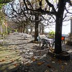 Terrasse hinter der Montallegro Basilika, Basilica Santuario di Montallegro 