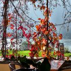 Terrasse im Sonnenlicht