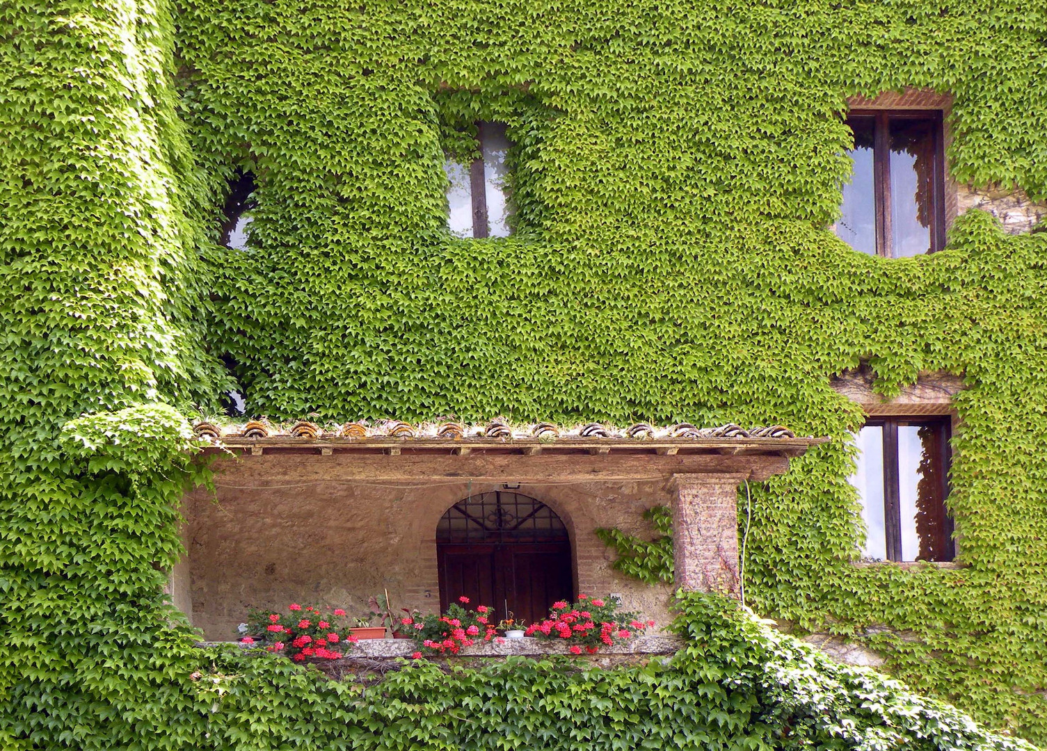 Terrasse in Grün