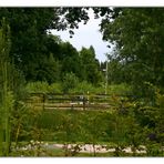 Terrasse mit Ausblick 01