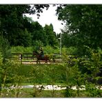 Terrasse mit Ausblick 02