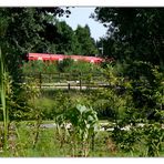 Terrasse mit Ausblick 05