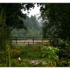 Terrasse mit Ausblick 06