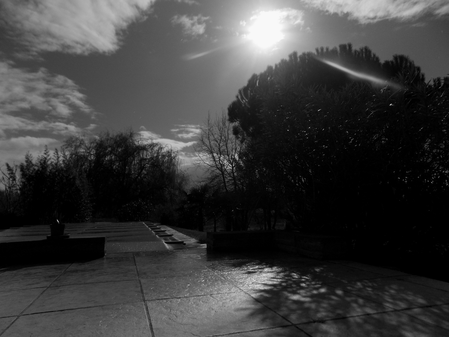 Terrasse monochromatique 