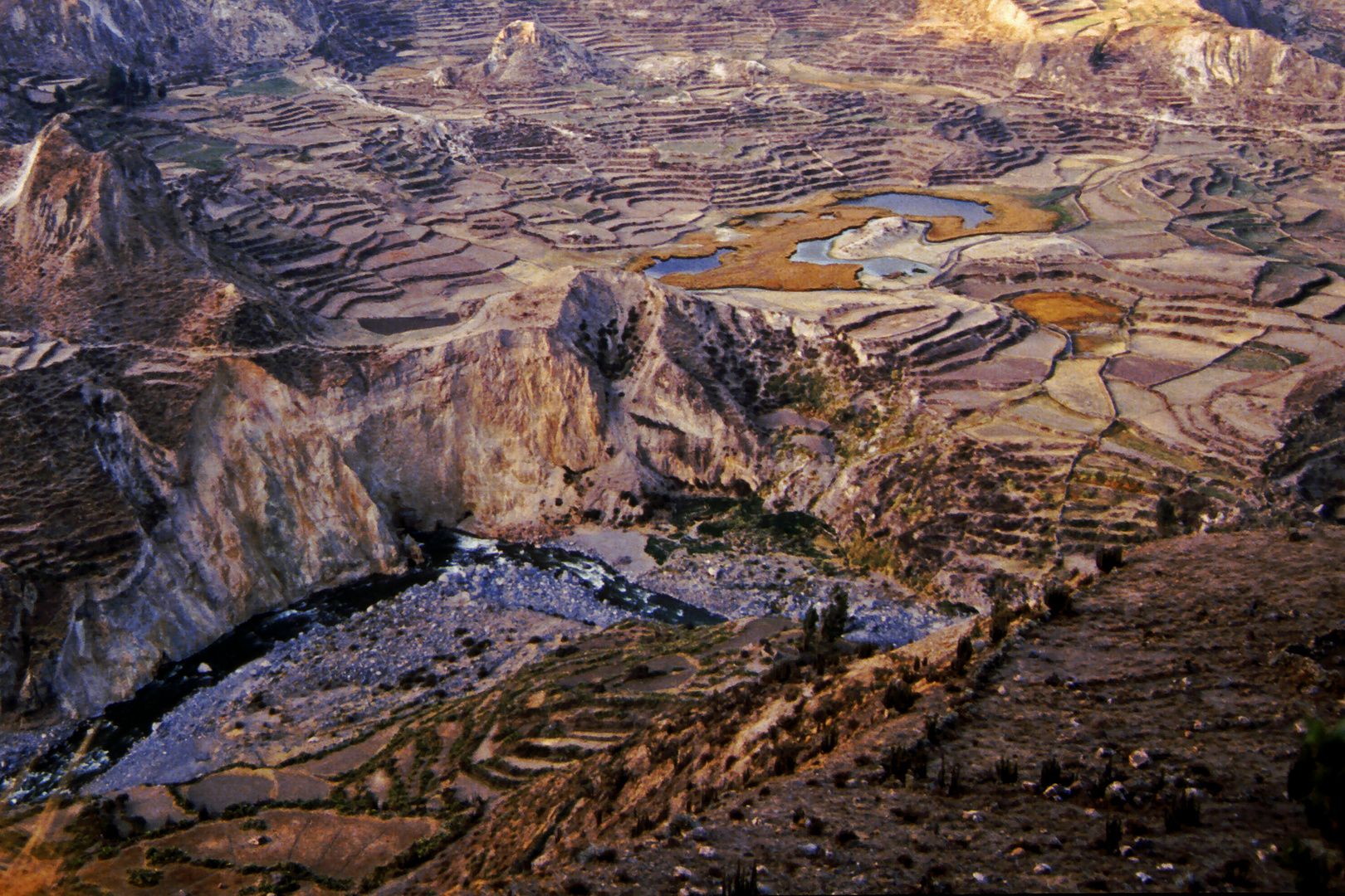 Terrassen im Colca-Tal / Peru