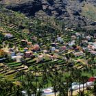 Terrassen im Tal - La Gomera 