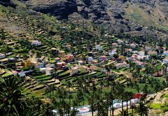 Terrassen im Tal - La Gomera 