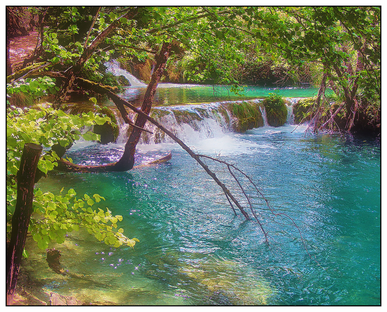 Terrassenartiger Wasserfall Foto & Bild | landschaften, wasser, bäume