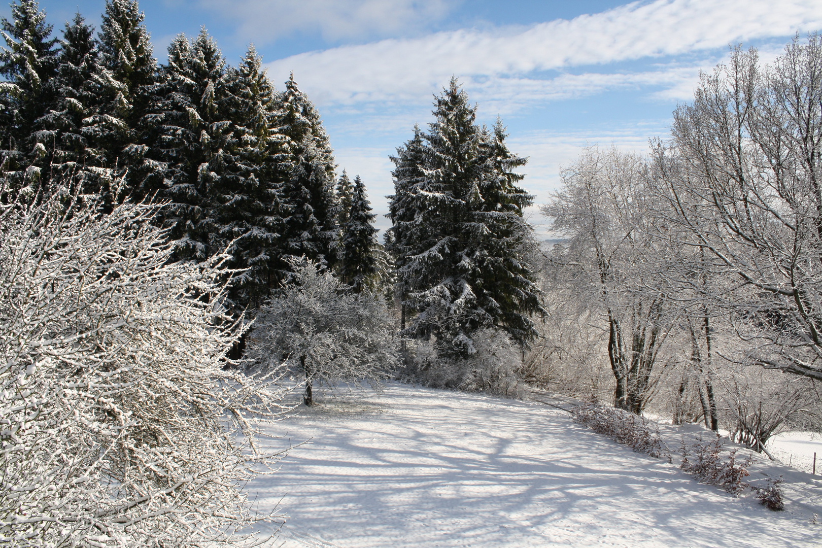 Terrassenblick