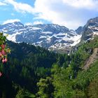 Terrassenblick - von der Hans-Wödlhütte zur Hochwildstelle