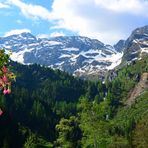 Terrassenblick - von der Hans-Wödlhütte zur Hochwildstelle