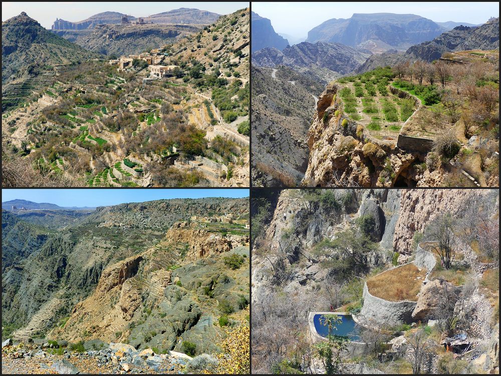 Terrassendörfer des Jabal Akhdar