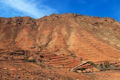 Terrassenfelder bei Vega de Rio Palmas