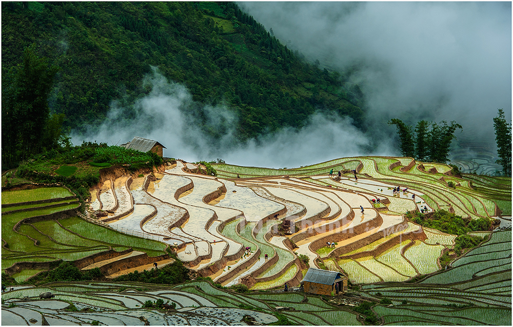 Terrassenfelder in Yty Nord-Vietnam