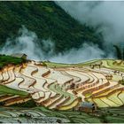 Terrassenfelder in Yty Nord-Vietnam