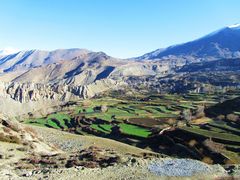 Terrassenfelder Nepal