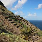 Terrassengärten auf La Gomera über den Atlantik