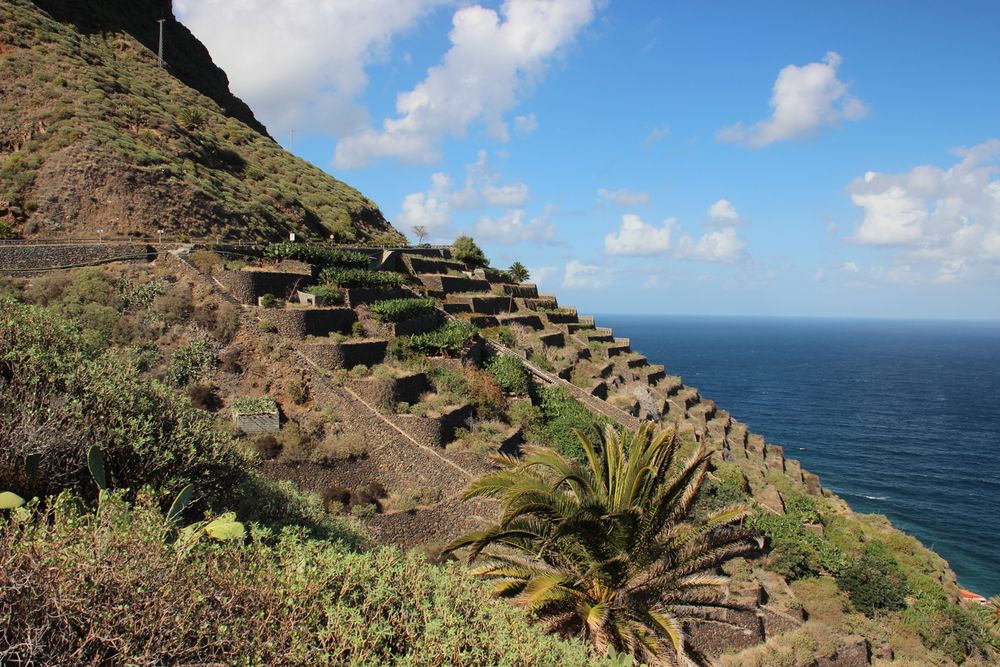 Terrassengärten auf La Gomera über den Atlantik