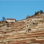 terrassenlandschaft