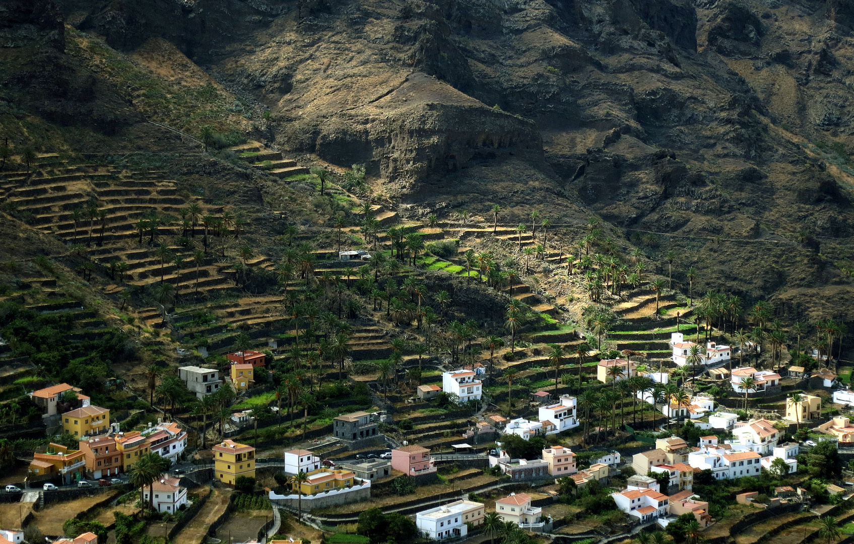 Terrassenlandschaft