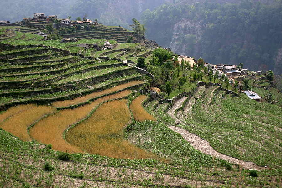 Terrassenlandschaft