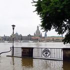 Terrassenufer Dresden bei steigendem Pegel