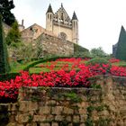 Terrasson-Lavilledieu, Dordogne