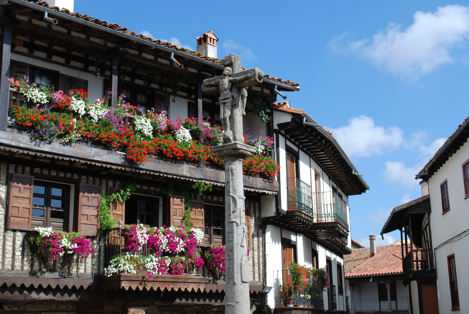 terrazas floreadas