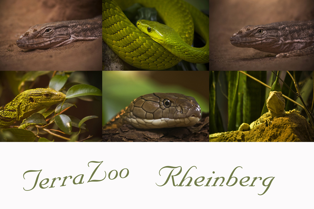 TerraZoo Rheinberg