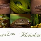 TerraZoo Rheinberg