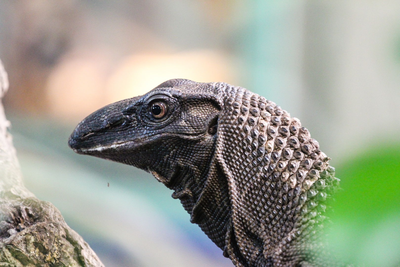 Terrazoo Rheinberg 2