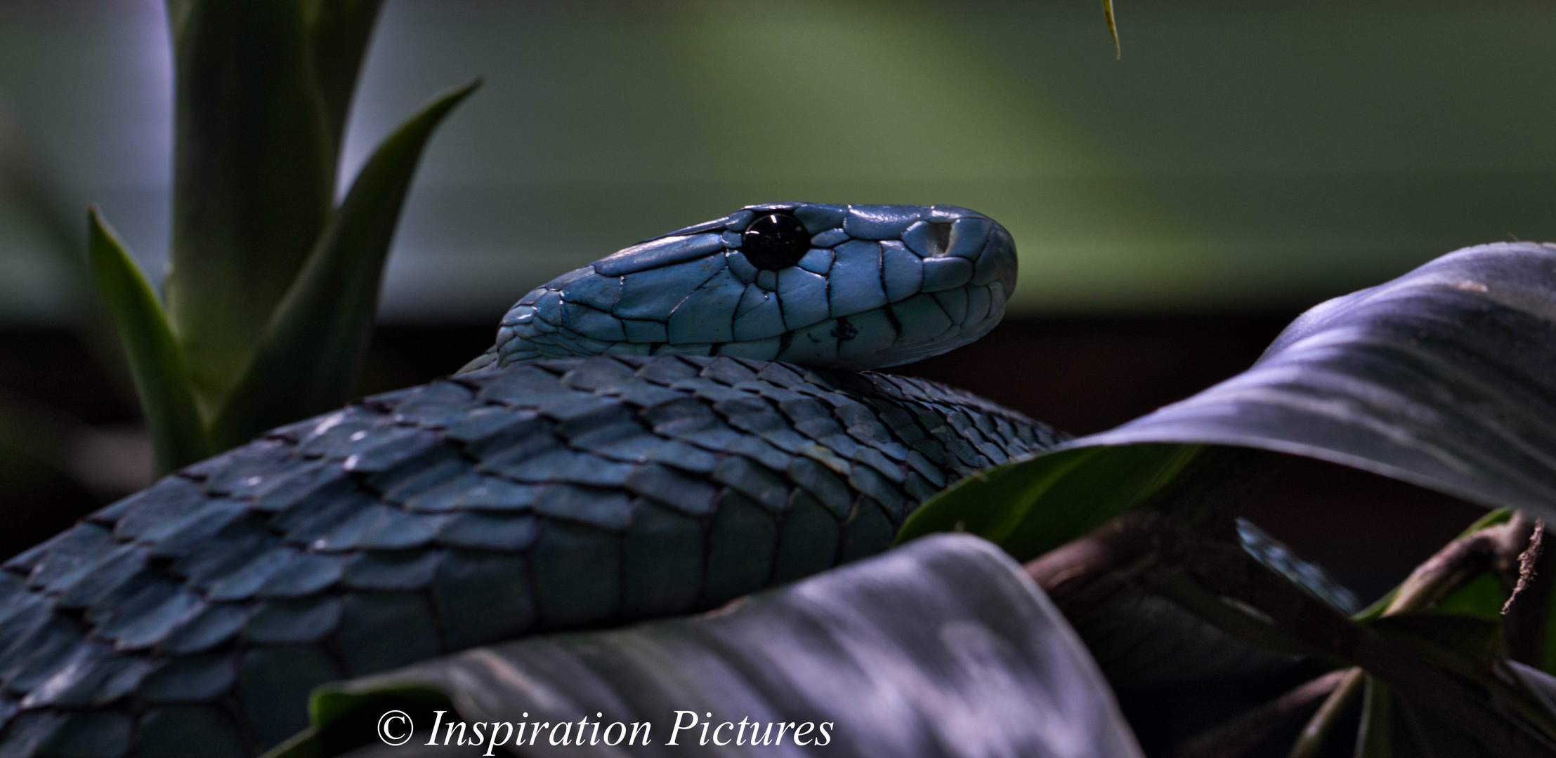  Terrazoo  Rheinberg Foto Bild tiere zoo wildpark 