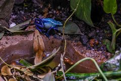 Terrazoo Rheinberg