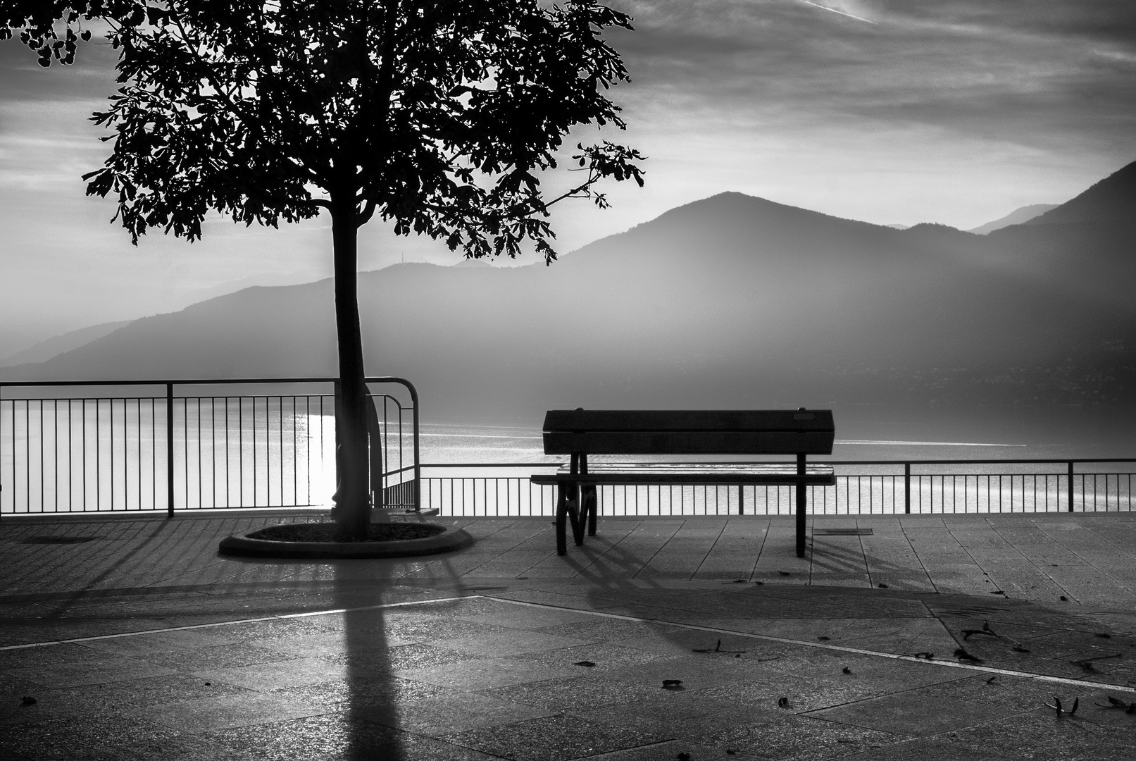 Terrazza sul lago