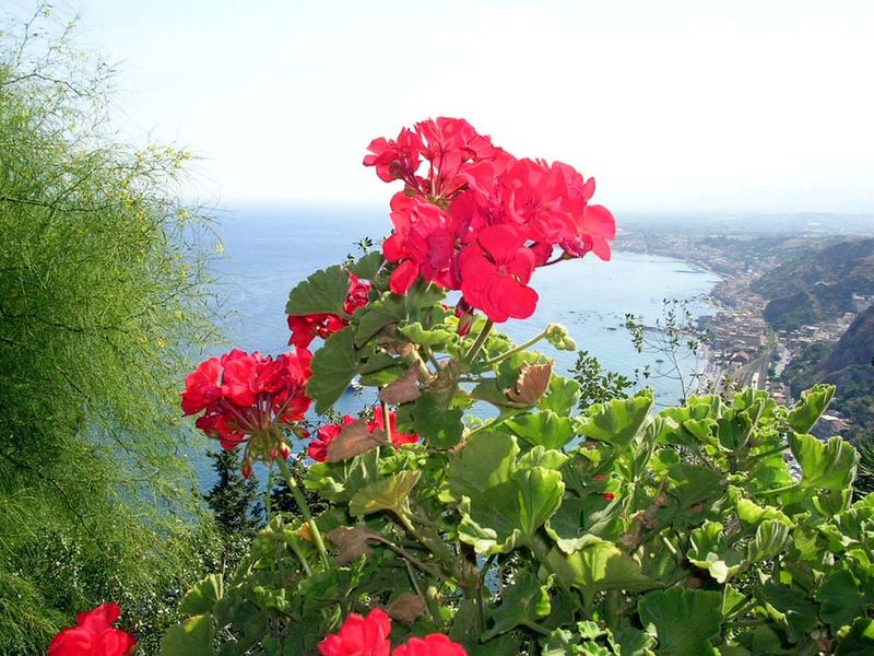 Terrazza sul mare