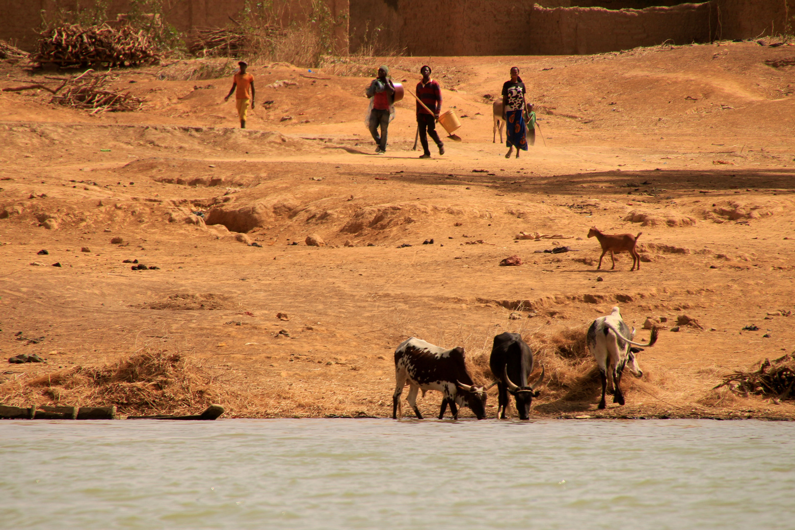 Terre africaine