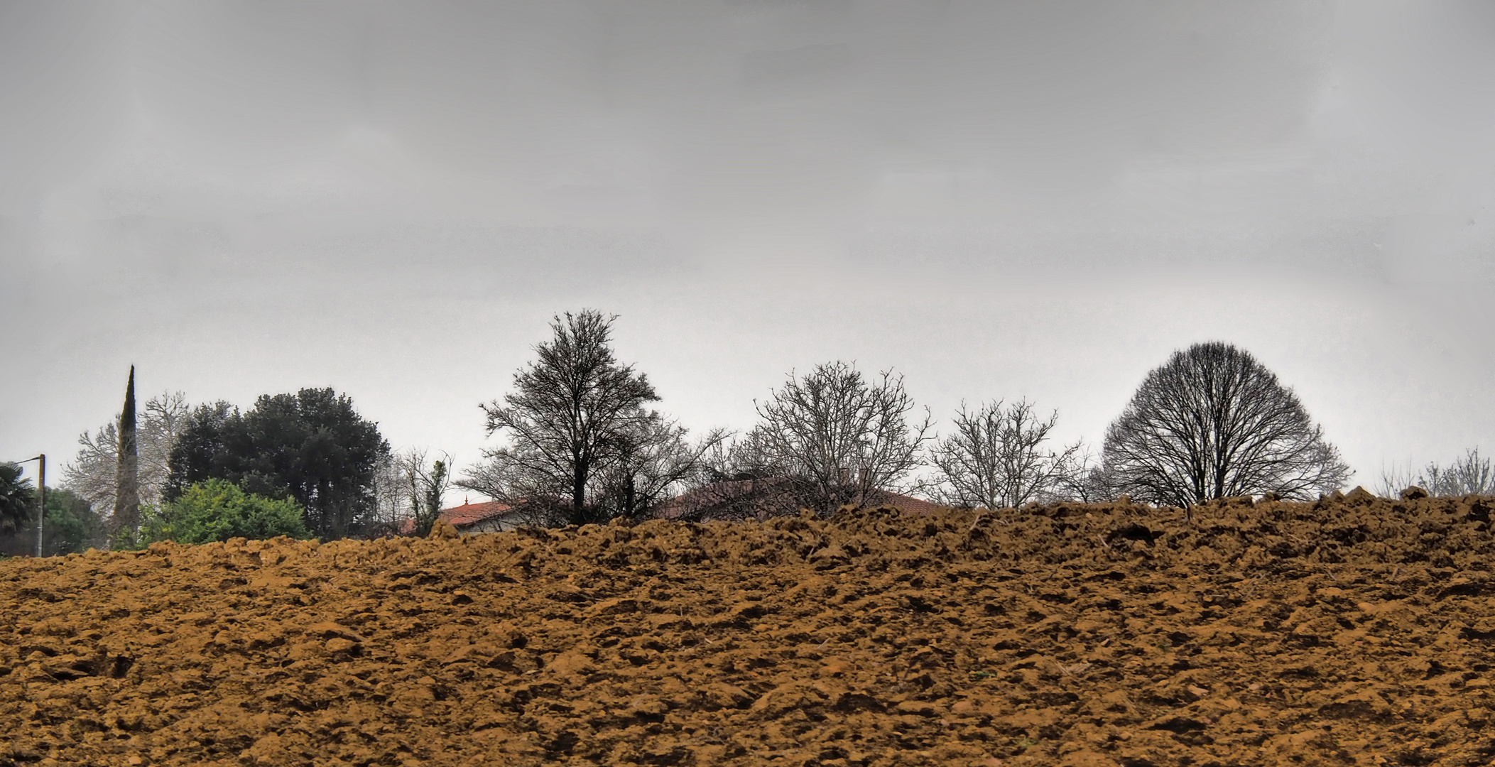 Terre arable au repos hivernal