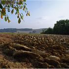 Terre arable dans le Gers