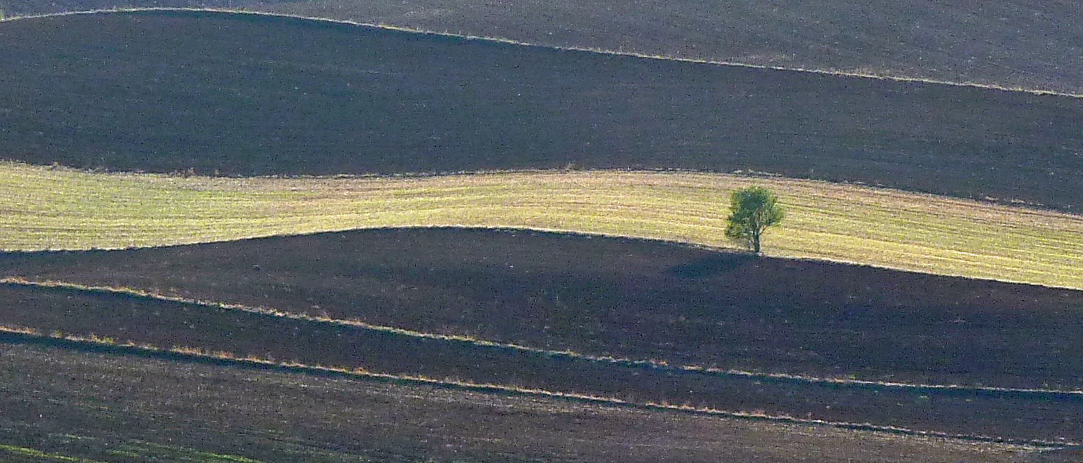 Terre castigliane