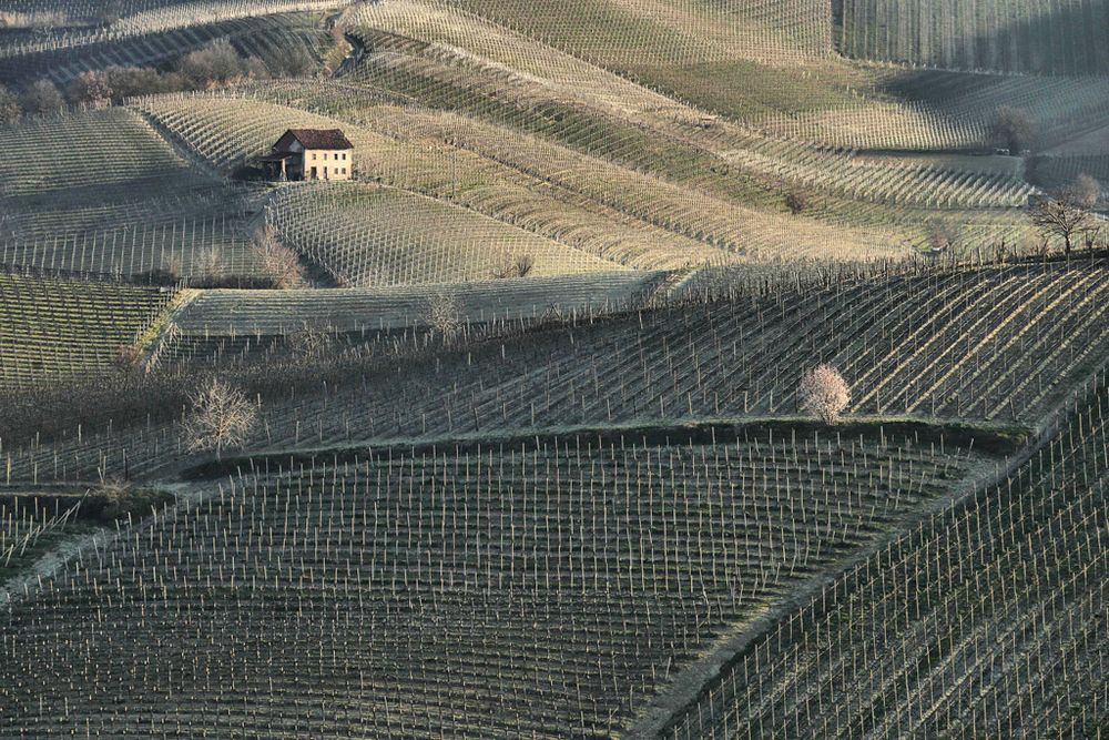 Terre da vino