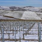 Terre da vino - sottozero (2)