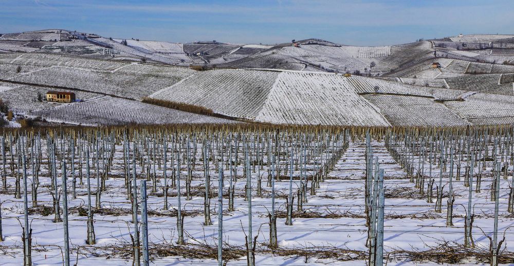 Terre da vino - sottozero (2)