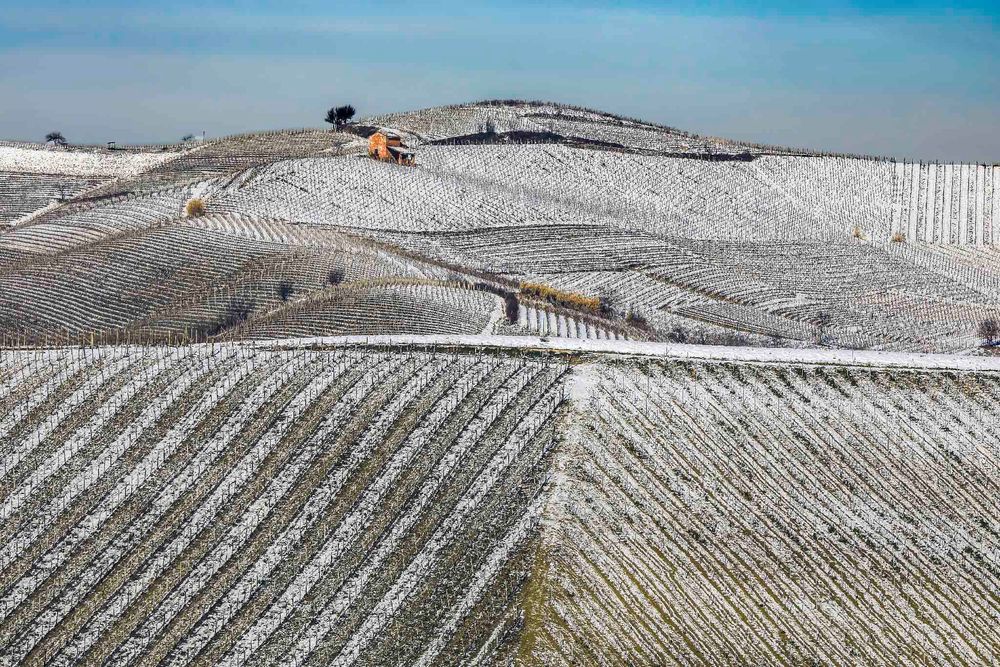 Terre da vino - sottozero (2) 