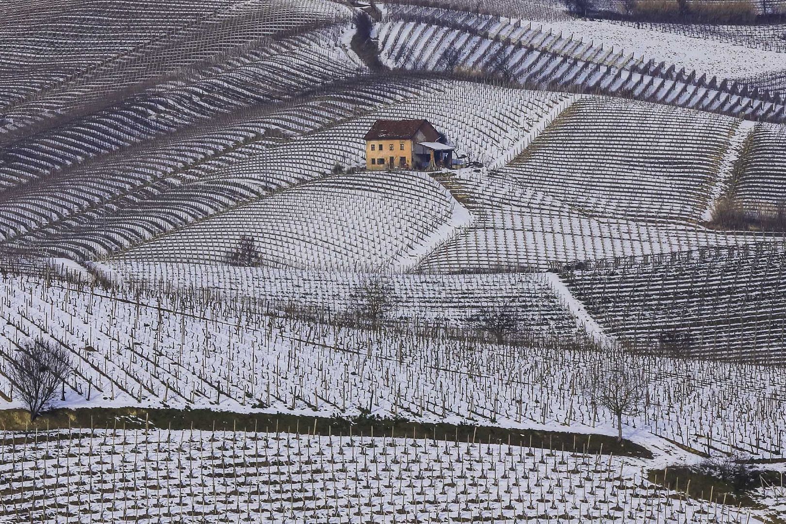 Terre da vino - sottozero